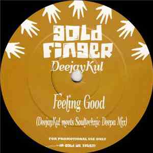 Deejaykul - Feeling Good