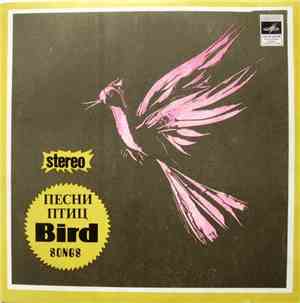 Предраг Кнежевич, Ивана Стефанович, Марьян Радойчич - Песни Птиц - Bird Son ...