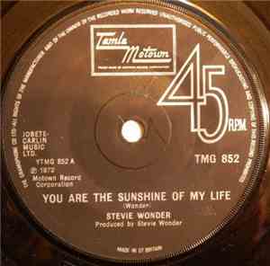Stevie Wonder - You Are The Sunshine Of My Life