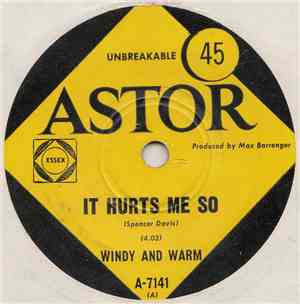 Windy And Warm - It Hurts Me So