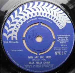 Back Alley Choir - Smile Born of Courtesy b/w Why Are You Here