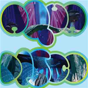 Seahawks - Aquadisco