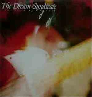 The Dream Syndicate - Live At Raji's