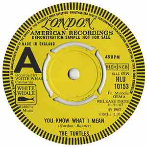 The Turtles - You Know What I Mean