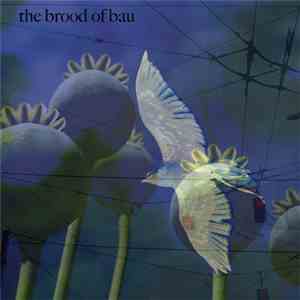 $.99 Dreams - The Brood Of Bau