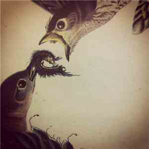 Adam Neil Pierce - Ornithology