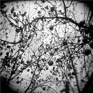 Heller Mason - The Mess I've Made
