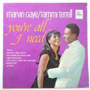 Marvin Gaye & Tammi Terrell - You're All I Need
