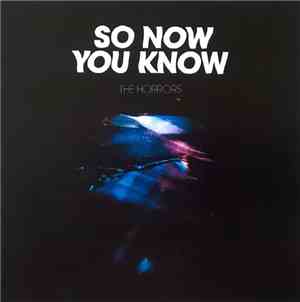 The Horrors - So Now You Know