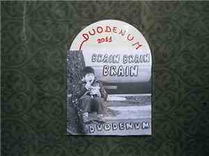 Duodenum  - Brain Brain Brain