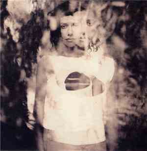 PJ Harvey - The Wind
