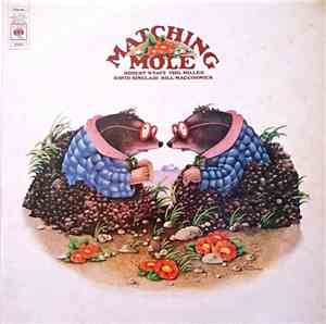Matching Mole - Matching Mole