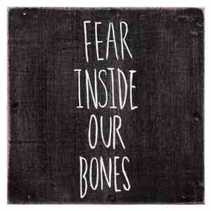 The Almost - Fear Inside Our Bones