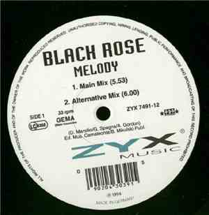 Black Rose - Melody