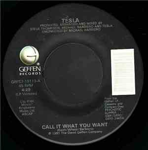 Tesla - Call It What You Want