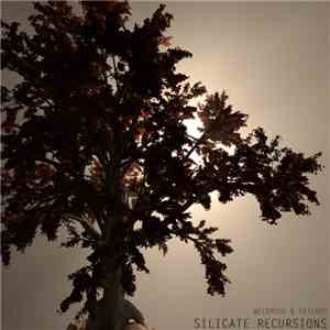 Weldroid - Silicate Recursions
