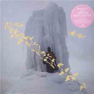 Breathe Owl Breathe - Magic Central
