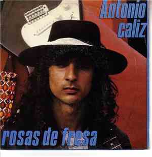 Antonio - Caliz / Rosas De Fresa