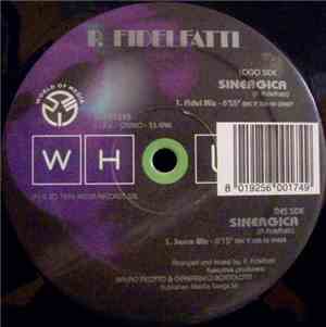 P. Fidelfatti - Sinergica