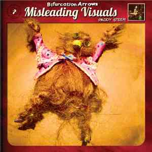 Paddy Steer - Bifurcation Arrows Misleading Visuals