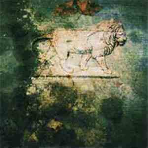 From The Grave - The Human Condition