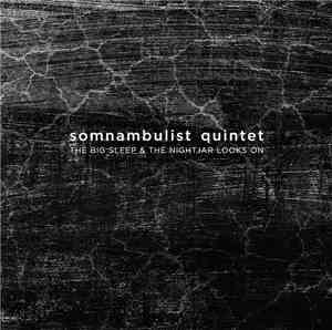 Somnambulist Quintet - The Big Sleep & The Nightjar Looks On