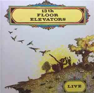 13th Floor Elevators - Live