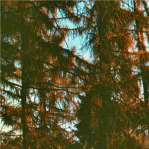 Docetism - Roots
