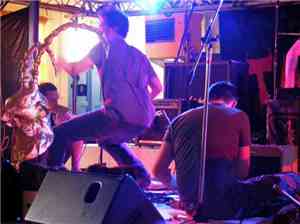 Ruralfaune Collective - 