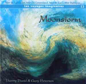 Thierry David & Gary Peterson  - Moonstorm