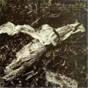 David Sylvian + Holger Czukay - Plight & Premonition