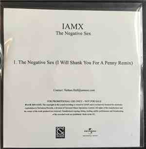 IAMX - The Negative Sex (I Will Shank You For A Penny Remix)