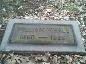 Rubella - William Whale