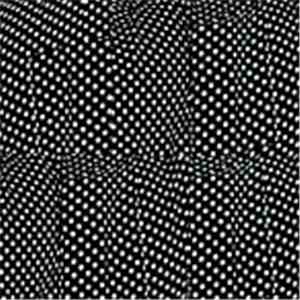 Wet Hair - In Vogue Spirit