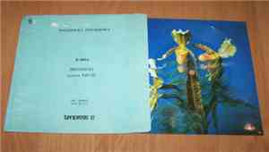 Drupi  - Provincia