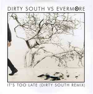 Dirty South  vs Evermore - It's Too Late (Dirty South Remix)