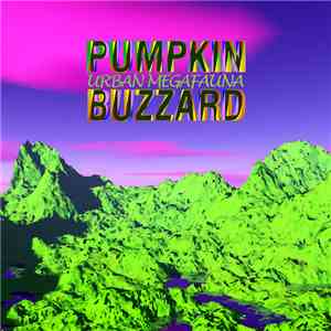 Pumpkin Buzzard - Urban Megafauna