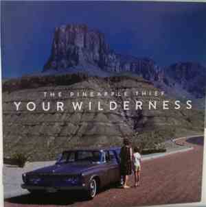 The Pineapple Thief - Your Wilderness