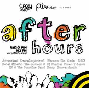 Various - After Hours Vol.1 Radio PiN 102 FM