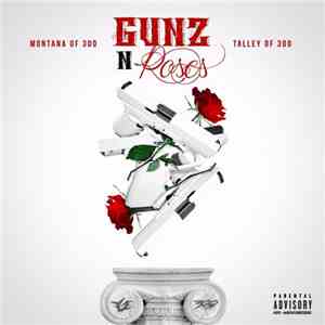 300  - Gunz N' Roses