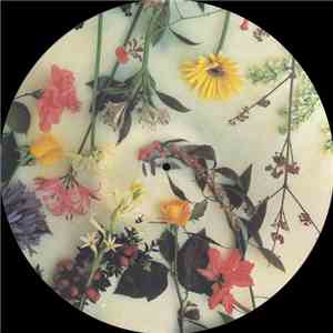 Scritti Politti - Absolute