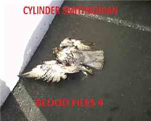 Cylinder Smithsonian - Blood Files 4