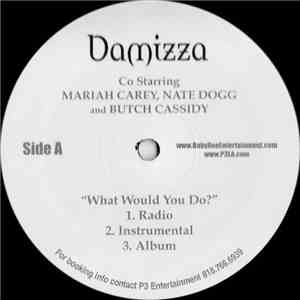 Damizza - What Would You Do? / Chip Tha Curb