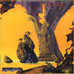 Yes - Yes Years