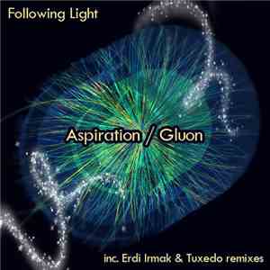 Following Light - Aspiration / Gluon