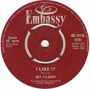 Ray Pilgrim - I Like It / Falling