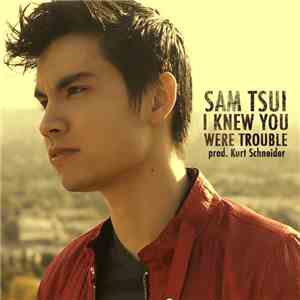 Sam Tsui - I Knew You Were Trouble