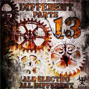 Various - Different Parts 13 - All Electro All Different
