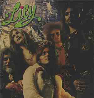 Lily  - 