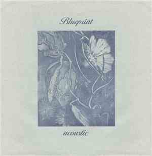 Blueprint  - Acoustic